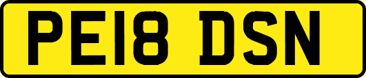 PE18DSN