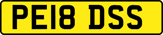 PE18DSS