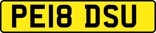PE18DSU