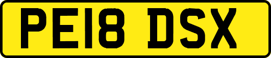 PE18DSX