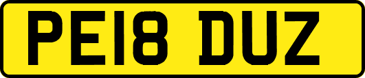 PE18DUZ