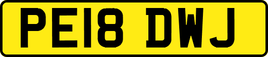 PE18DWJ