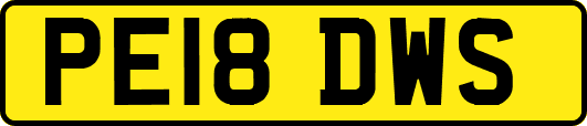 PE18DWS
