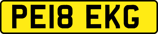 PE18EKG