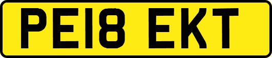 PE18EKT