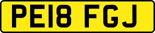 PE18FGJ