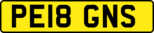 PE18GNS