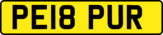 PE18PUR