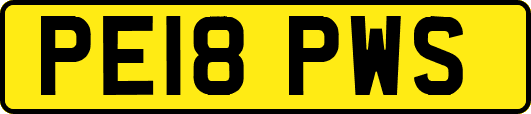 PE18PWS