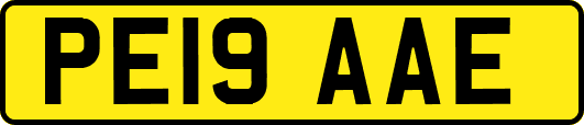 PE19AAE