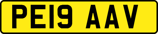 PE19AAV