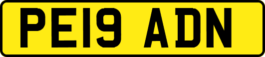 PE19ADN