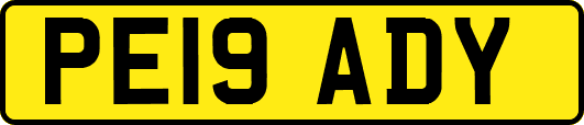 PE19ADY
