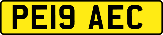 PE19AEC