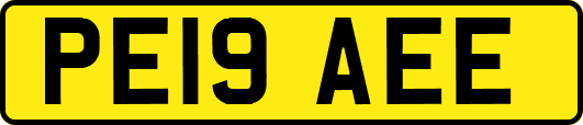 PE19AEE