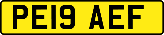 PE19AEF