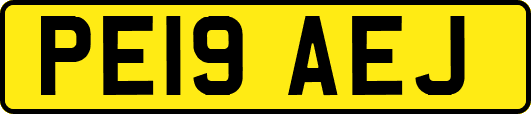 PE19AEJ
