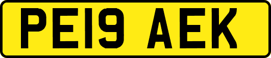 PE19AEK