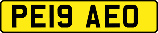 PE19AEO
