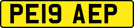 PE19AEP