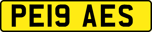 PE19AES