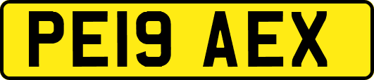 PE19AEX