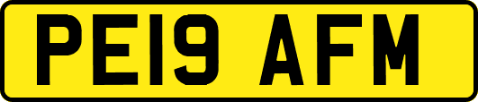 PE19AFM