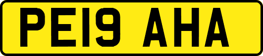 PE19AHA
