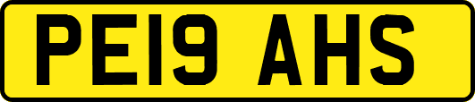 PE19AHS