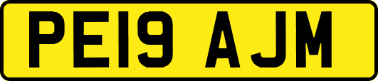 PE19AJM