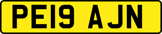 PE19AJN