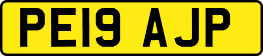PE19AJP