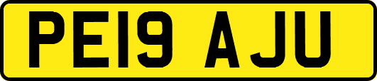 PE19AJU