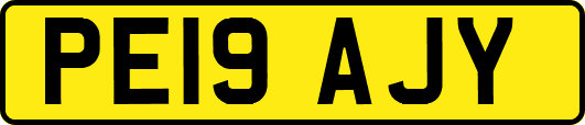 PE19AJY