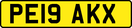 PE19AKX
