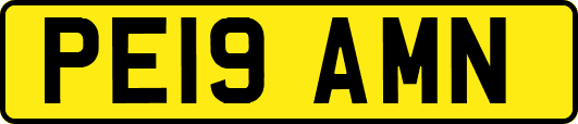 PE19AMN