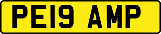 PE19AMP