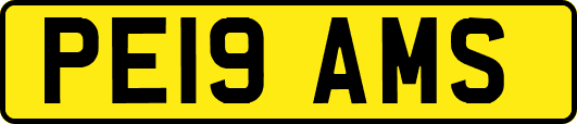 PE19AMS