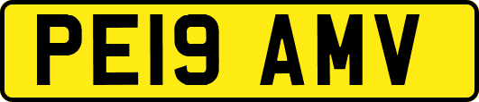 PE19AMV