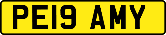 PE19AMY