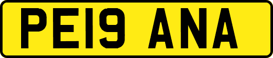 PE19ANA