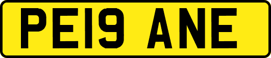 PE19ANE
