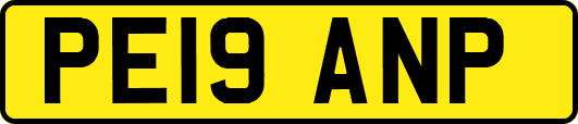 PE19ANP