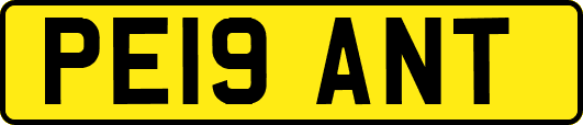 PE19ANT