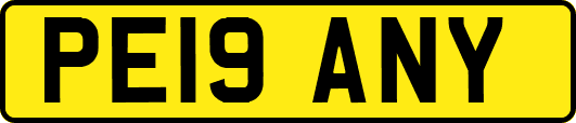 PE19ANY