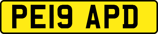 PE19APD
