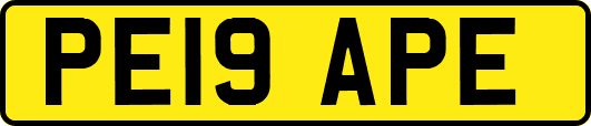 PE19APE