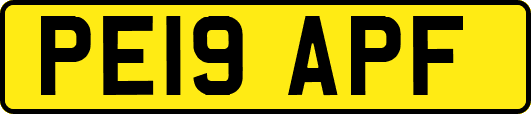 PE19APF
