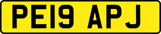 PE19APJ