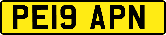 PE19APN
